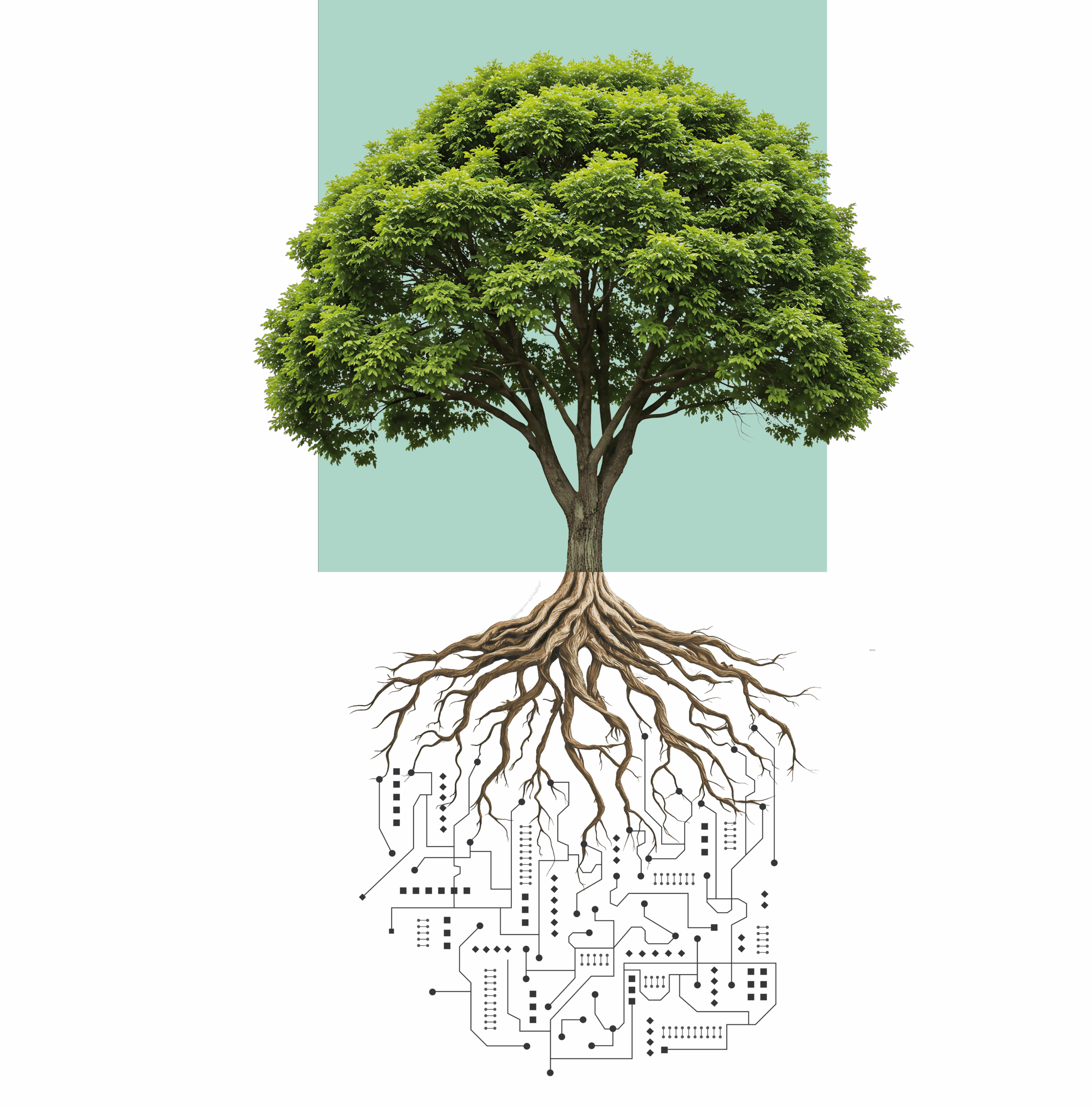 There is a Radicle Health tree illustration with tech code at the roots.